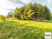  – Nt ekspertai be procentų - nuotraukos Nr. 39