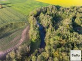  – Nt ekspertai be procentų - nuotraukos Nr. 44