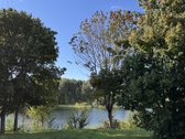 Namų valdos sklypas ant Graužės tvenkinio kranto. - nuotraukos Nr. 4