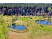 Parduodama išskirtinė sodyba vaizdingoje - nuotraukos Nr. 28