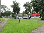 Nt agentūra Lt Estate siūlo! - nuotraukos Nr. 17