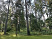 Namų valdos sklypas (parengtas detalusis - nuotraukos Nr. 10