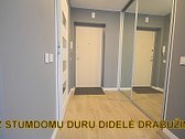 Išnuomojamas Naujame Name Butas Su Visais - nuotraukos Nr. 8