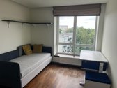 Nuomojamas jaukus ir erdvus 4 kambarių butas - nuotraukos Nr. 9