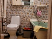 Namas plytinis, renovuotas (renovacija - nuotraukos Nr. 15