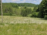 Parduodami 15,26ha bendro ploto sklypai su - nuotraukos Nr. 5