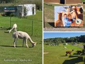 Jūsų namų vieta – ten, kur miestas susitinka - nuotraukos Nr. 6