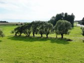 Parduodamas Namas Prienų Rajone. Žiūronių - nuotraukos Nr. 12
