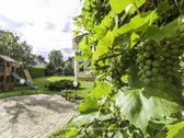 Buivydiškėse, Karšuvos G., Parduodamas - nuotraukos Nr. 7