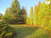Parduodamas erdvus 15a sklypas Šarkaičių g. - nuotraukos Nr. 2