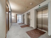 Naujas Projektas Mieste – Studijos Ne Tik - nuotraukos Nr. 14