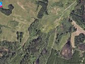 Parduodamas 8,28 Ha Žemės Ūkio Paskirties - nuotraukos Nr. 4