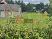 Pajūrio miestelyje, Šilalės rajone, Dariaus - nuotraukos Nr. 7