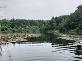 Nuomojamas 2 k. butas Antakalnyje - nuotraukos Nr. 10