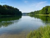 Parduodami kartu du miškų ūkio paskirties - nuotraukos Nr. 2