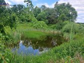 Parduodama sodyba - vienkiemis, vos 500m. iki - nuotraukos Nr. 5