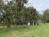 Parduodamas namas Alytaus priemiestyje – - nuotraukos Nr. 16