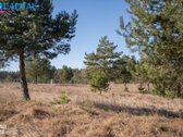 Meduvio Vilos‘e parduodami namų valdos sklypai. - nuotraukos Nr. 12