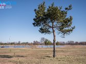 Meduvio Vilos‘e parduodami namų valdos sklypai. - nuotraukos Nr. 13