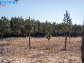 Meduvio Vilos‘e parduodami namų valdos sklypai. - nuotraukos Nr. 15