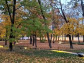 Visi buto langai žiūri į žalią parką ant - nuotraukos Nr. 18