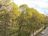 Visi buto langai žiūri į žalią parką ant - nuotraukos Nr. 17