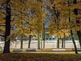 Visi buto langai žiūri į žalią parką ant - nuotraukos Nr. 19