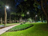 Visi buto langai žiūri į žalią parką ant - nuotraukos Nr. 21