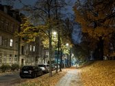 Visi buto langai žiūri į žalią parką ant - nuotraukos Nr. 20