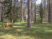 Parduodamas šviesus ir jaukus dviejų kambarių - nuotraukos Nr. 14