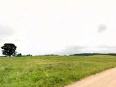 13.76 Ha Bendro Ploto Žemės Ūkio Paskirties - nuotraukos Nr. 5