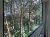 Geroje vietoje, Fabijoniškėse, Liongino - nuotraukos Nr. 3