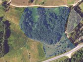 Parduodamas 2,40 ha žemės sklypas Sudeikių - nuotraukos Nr. 12