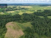 Parduodamas 4,85 ha žemės ūkio paskirties - nuotraukos Nr. 7