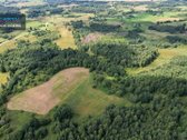 Parduodamas 4,85 ha žemės ūkio paskirties - nuotraukos Nr. 10