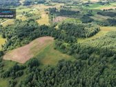Parduodamas 4,85 ha žemės ūkio paskirties - nuotraukos Nr. 11