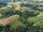 Parduodamas 4,85 ha žemės ūkio paskirties - nuotraukos Nr. 12