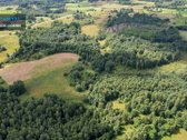 Parduodamas 4,85 ha žemės ūkio paskirties - nuotraukos Nr. 13