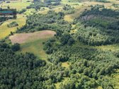 Parduodamas 4,85 ha žemės ūkio paskirties - nuotraukos Nr. 14