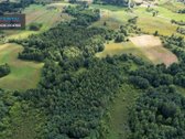 Parduodamas 4,85 ha žemės ūkio paskirties - nuotraukos Nr. 17
