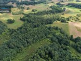 Parduodamas 4,85 ha žemės ūkio paskirties - nuotraukos Nr. 18