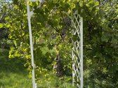 Nuomojamas jaukus namelis ramioje ir žalumos - nuotraukos Nr. 5