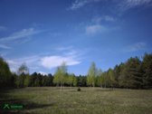 Parduodamas išpuoselėtas 4,43 ha bendro ploto - nuotraukos Nr. 2