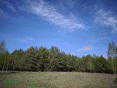 Parduodamas išpuoselėtas 4,43 ha bendro ploto - nuotraukos Nr. 3