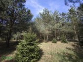 Parduodamas išpuoselėtas 4,43 ha bendro ploto - nuotraukos Nr. 4