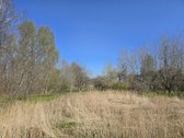 Jau koks žavus pusdvaris laukia savųjų - nuotraukos Nr. 9