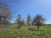 Jau koks žavus pusdvaris laukia savųjų - nuotraukos Nr. 10