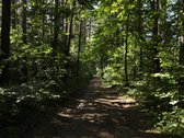Parduodamas namų valdos sklypas Mažuosiuose - nuotraukos Nr. 5