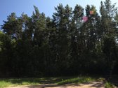 Parduodamas namų valdos sklypas Mažuosiuose - nuotraukos Nr. 8