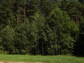 Parduodamas namų valdos sklypas Mažuosiuose - nuotraukos Nr. 10